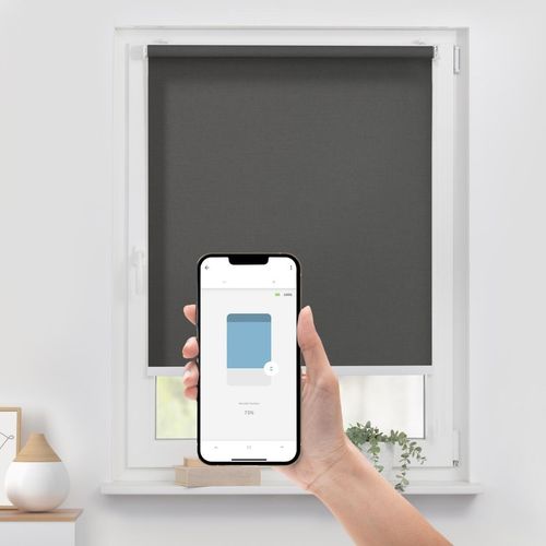4067533004819 - Rollo ORIGINAL Klemmfix ohne Bohren Gr 1 schwarz (schwarz weiß weiß) B110cm H190cm Polyester Rollos Steuerbar mit Bluetooth-App integrierter Elektromotor und Akku