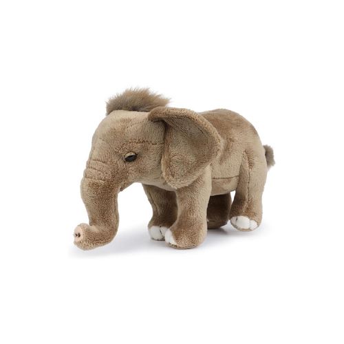 8719066016383 - - Plüschtier - Elefantenbaby (stehend 18cm) Limited Edition Kuscheltier Stofftier Elefant
