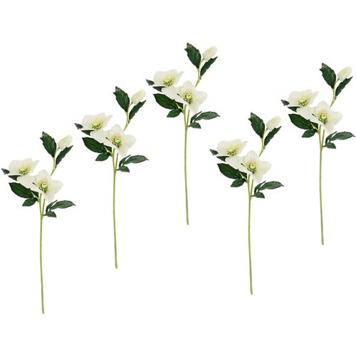 4019844791445 - Kunstblume IGEA Christrose beige (creme) B12cm H57cm L5cm Obermaterial 90% Polyester 10% Kunststoff Kunstpflanzen Künstlich Seidenblumen 5er Set