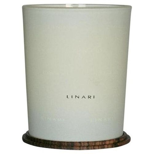 4260086194529 - Kerzen DuftkerzenOceano Scented Candle 190 g (27105 €   1 kg)