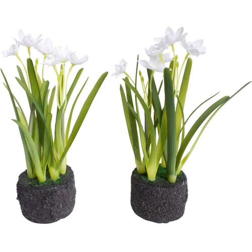 8505459205508 - Kunstblume BOTANIC-HAUS Narzissen Arrangement im Erdballen Kunstpflanzen Gr Ø H 11 cm x 22 cm 2 St weiß Kunst-Blumen
