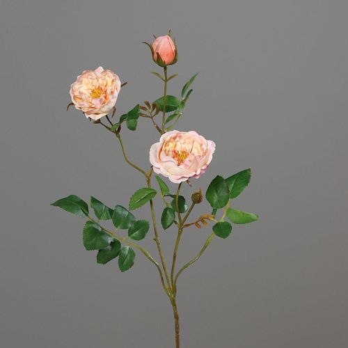 4027234904481 - Kunstblume ROSENZWEIG