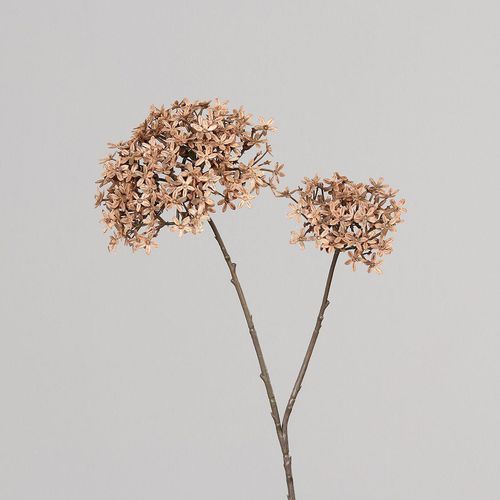 4027234956428 - Kunstblume Holunderblüte (H 71 cm) 4027234956428 - Kunstblume Holunderblüte (H 71 cm)