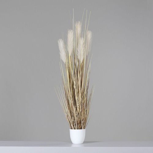 4027234950884 - Kunstpflanze GRAS (H 110 cm) H 110 cm beige Pflanze Kunstblume Zimmerpflanze 4027234950884 - Kunstpflanze GRAS (H 110 cm) H 110 cm beige Pflanze Kunstblume Zimmerpflanze