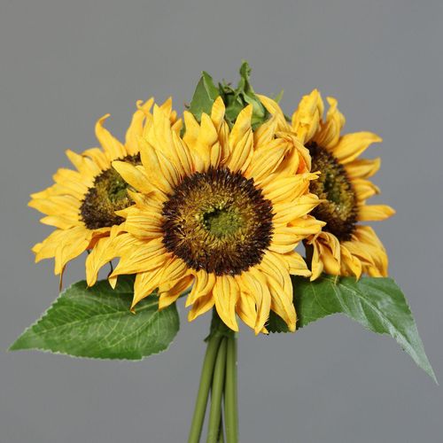 4027234873442 - Sonnenblumen-Bouquet gelb (H 25 cm) H 25 cm gelb 4027234873442 - Sonnenblumen-Bouquet gelb (H 25 cm) H 25 cm gelb
