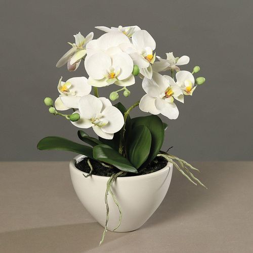 4027234883298 - Kunstblume Orchidee (H 35 cm) H 35 cm beige Pflanze Kunstpflanze Zimmerpflanze