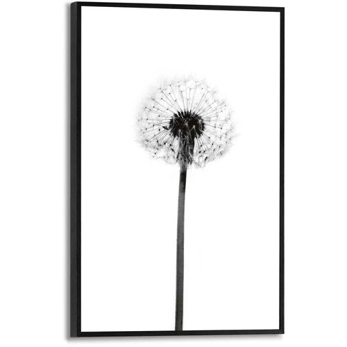 8714597576849 - Poster REINDERS Pusteblume Bilder Gr B H T 20 cm x 30 cm x 16 cm schwarz (schwarz weiß) Poster