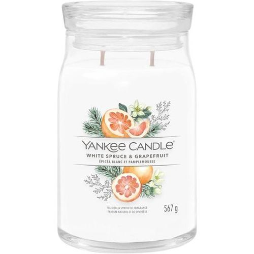 5038581129082 - Yankee-Candle Raumduefte Votivkerze-im-GlasWhite Spruce + GrapefruitDuftkerze 567 g (5279 €   1 kg)