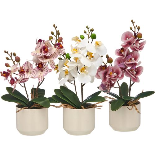 4064118351764 - Kunstorchidee CREATIV GREEN Orchidee Phalaenopsis mauve weiß cremelila H28cm Ø18cm Kunststoff Kunstpflanzen mit real-touch-Blüten 4064118351764 - Kunstorchidee CREATIV GREEN Orchidee Phalaenopsis mauve weiß cremelila H28cm Ø18cm Kunststoff Kunstpflanzen mit real-touch-Blüten