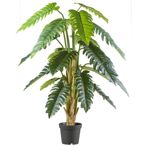 4064118241669 - Kunstbaum CREATIV GREEN Philodendron xanadu grün H195cm Kunststoff Kunstpflanzen mit großformatigem Blattwerk 4064118241669 - Kunstbaum CREATIV GREEN Philodendron xanadu grün H195cm Kunststoff Kunstpflanzen mit großformatigem Blattwerk