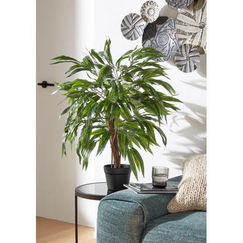 4003529781012 - Kunstpflanze CREATIV GREEN Weeping-Ficus Kunstpflanzen Gr H 80 cm grün Kunstpflanze Zimmerpflanze Künstliche Zimmerpflanzen Kunstpflanzen