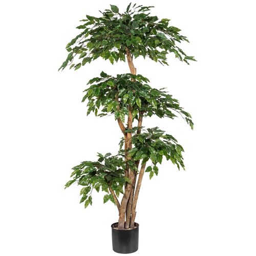 4064118039761 - Kunstpflanze CREATIV GREEN Ficus Benjamini Kunstpflanzen Gr B H 110 cm x 170 cm 1 St grün Kunstpflanze Zimmerpflanze Künstliche Zimmerpflanzen Kunstpflanzen