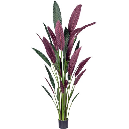 4064118182153 - Künstliche Zimmerpflanze CREATIV GREEN Stromanthe Thalia Kunstpflanzen Gr H 210 cm 1 St grün (grün rot) mit grün-rotem Blattwerk