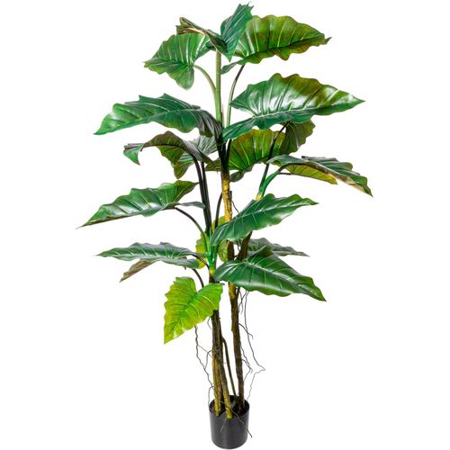 4064118144342 - Kunstbaum CREATIV GREEN Colocasia Kunstpflanzen Gr Ø H 95 cm x 180 cm 1 St grün Kunst-Bäume im Topf