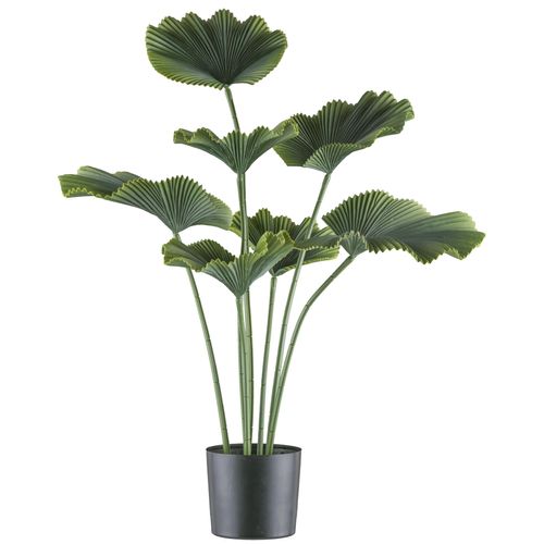 4064118241942 - Kunstpalme CREATIV GREEN Strahlenpalme grün H100cm Kunststoff Kunstpflanzen in trendiger Farbgebung
