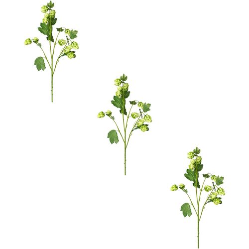 4064118117902 - Kunstzweig CREATIV GREEN Hopfen grün H77cm Obermaterial 100% Polyethylen Kunstpflanzen 4064118117902 - Kunstzweig CREATIV GREEN Hopfen grün H77cm Obermaterial 100% Polyethylen Kunstpflanzen