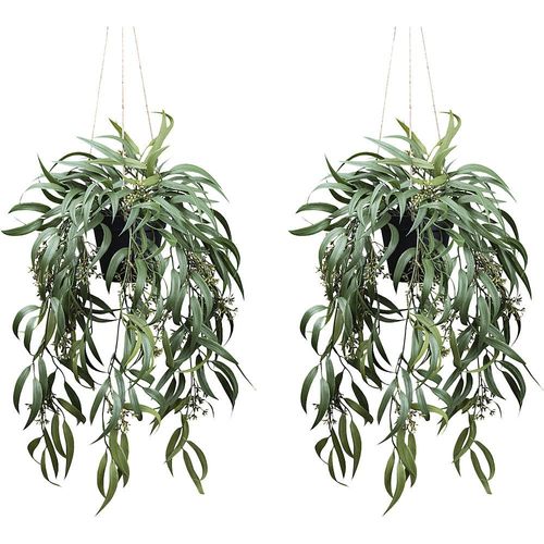 4064118180159 - Künstliche Pflanze Eukalyptus globolus mit Fruchtstand 2er-Set Kunststofftopf Höhe 650 mm kaiserkraft 4064118180159 - Künstliche Pflanze Eukalyptus globolus mit Fruchtstand 2er-Set Kunststofftopf Höhe 650 mm kaiserkraft