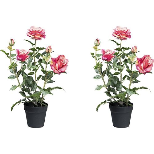 4064118149132 - Künstliche Pflanze Rosenbusch Kunststofftopf VE 2 Stk Höhe 580 mm pink kaiserkraft