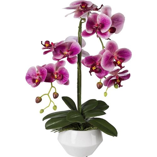 4003529571781 - Kunstpflanze GASPER Kunstpflanzen Gr B H 30 cm x 52 cm 1 St pink (fuchsia) Künstliche Zimmerpflanzen