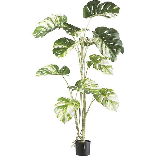 4064118188322 - Künstliche Pflanze Monstera deliciosa Kunststofftopf Blattfarbe grün Höhe 1600 mm kaiserkraft