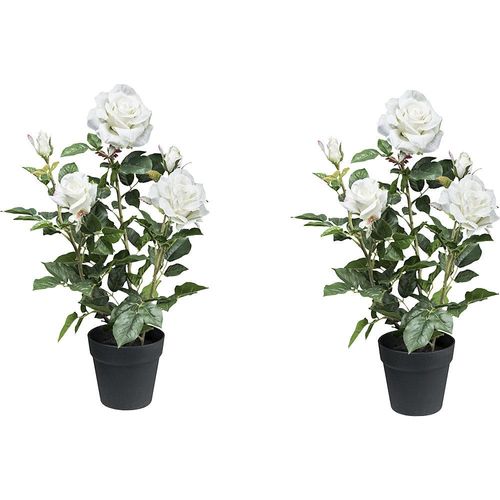 4064118149149 - Künstliche Pflanze Rosenbusch Kunststofftopf VE 2 Stk Höhe 580 mm weiß kaiserkraft