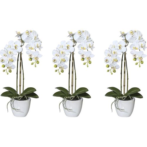 4064118274629 - Künstliche Pflanze Miniorchidee Phalaenopsis Keramiktopf VE 3 Stk Höhe 430 mm kaiserkraft