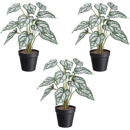 4064118176855 - Künstliche Pflanze Syngonium Kunststofftopf VE 3 Stk Höhe 380 mm kaiserkraft 4064118176855 - Künstliche Pflanze Syngonium Kunststofftopf VE 3 Stk Höhe 380 mm kaiserkraft