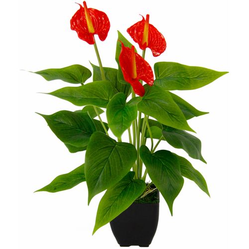 4019844682668 - Kunstblume IGEA Anthuriumpflanze rot B20cm H42cm L20cm Obermaterial 80% Polyester 20% Kunststoff Kunstpflanzen Anthurien Pflanze im Topf Anthurieexotisch Flamingopflanze
