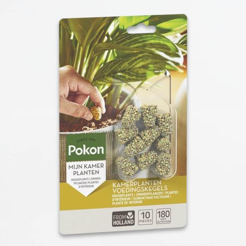 8711969004412 - Plant in a Box - Pokon Futterkegel Zimmerpflanzen - 10 Stück