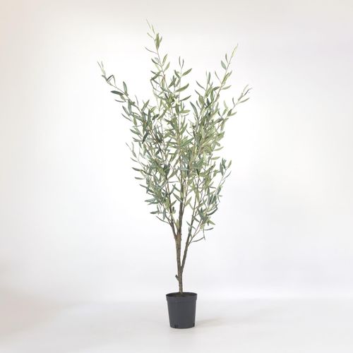 8721278902415 - Plant in a Box - Künstlicher Olivenbaum – Höhe 150cm