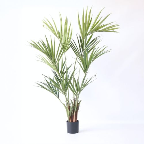 8721278902378 - Plant in a Box - Künstliche Kentia – Höhe 150cm
