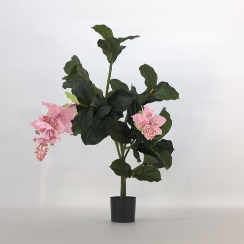 8721278902385 - Plant in a Box - Künstliche Medinilla Magnifica – Höhe 85cm