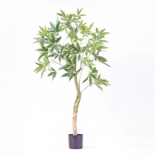8721278902439 - Plant in a Box - Künstliche Pachira – Höhe 120cm