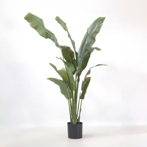 8721278902491 - Plant in a Box - Künstliche Strelitzie – Höhe 160cm