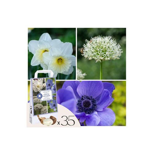 8712438998188 - Plant in a Box - Blumenzwiebeln - 30 Stück - Sunny garden Box - Anemone Allium Narzisse 8712438998188 - Plant in a Box - Blumenzwiebeln - 30 Stück - Sunny garden Box - Anemone Allium Narzisse