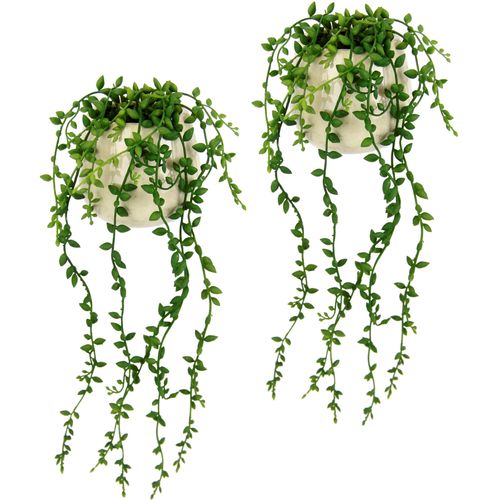 4019844805159 - Kunstpflanze Senecio im Topf 2er Set künstlich Pflanze Hängepflanze Kunstblume IGEA Höhe 40 cm Grünhänger hängende Pflanze Grünpflanze Zimmerpflanze Dekopflanze Moos grün