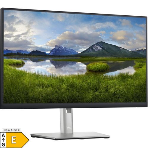 5397184567968 - P2423D Professional LED-Monitor 605 cm (238 Zoll) EEK E (A - G) 2560 x 1440 Pixel QHD 5 ms DisplayPort HDMI® USB-A USB-B IPS LED