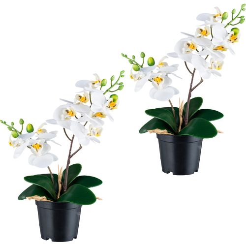 4064118240686 - Kunstorchidee CREATIV GREEN Orchidee Phalaenopsis weiß H28cm Kunststoff Kunstpflanzen mit real-touch-Blüten