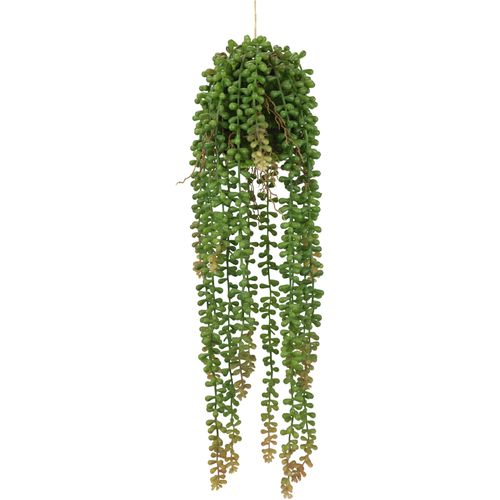 4019844820213 - Kunstpflanze IGEA Künstlicher Senecio Hänger grün B14cm H51cm L14cm Kunststoff Kunstpflanzen Hängepflanze Perlenschnur auf Mooskugel Realistische Sukkulente Deko 4019844820213 - Kunstpflanze IGEA Künstlicher Senecio Hänger grün B14cm H51cm L14cm Kunststoff Kunstpflanzen Hängepflanze Perlenschnur auf Mooskugel Realistische Sukkulente Deko
