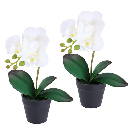 4019844824716 - Kunstorchidee IGEA Orchidee im Topf 2er Set weiß B18cm H30cm L9cm Polyester Kunstpflanzen Künstliche Phalaenopsis 30cm Real Touch Blume Kunstblume Seidenblume