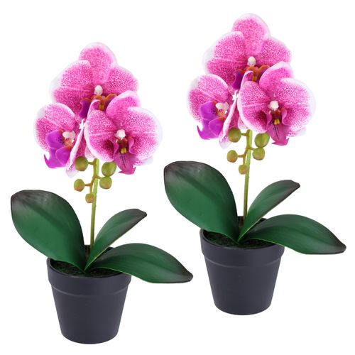 4019844824693 - Kunstorchidee IGEA Orchidee im Topf 2er Set rosa (dunkelrosa) B18cm H30cm L9cm Polyester Kunstpflanzen Künstliche Phalaenopsis 30cm Real Touch Blume Kunstblume Seidenblume
