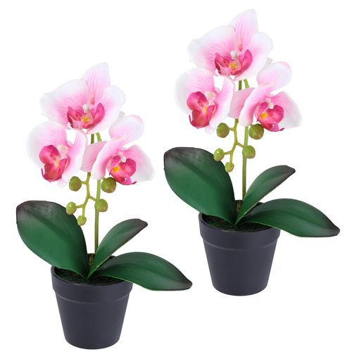 4019844824679 - Kunstorchidee IGEA Orchidee im Topf 2er Set rosa B18cm H30cm L9cm Polyester Kunstpflanzen Künstliche Phalaenopsis 30cm Real Touch Blume Kunstblume Seidenblume 4019844824679 - Kunstorchidee IGEA Orchidee im Topf 2er Set rosa B18cm H30cm L9cm Polyester Kunstpflanzen Künstliche Phalaenopsis 30cm Real Touch Blume Kunstblume Seidenblume