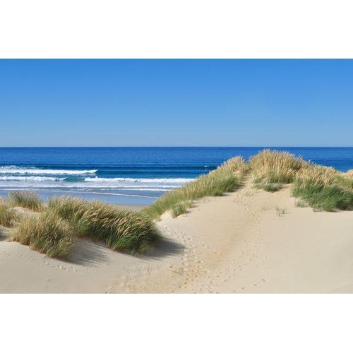 4050743036367 - Kunstdruck DÜNEN AM MEER I (LB 80x120 cm) 4050743036367 - Kunstdruck DÜNEN AM MEER I (LB 80x120 cm)