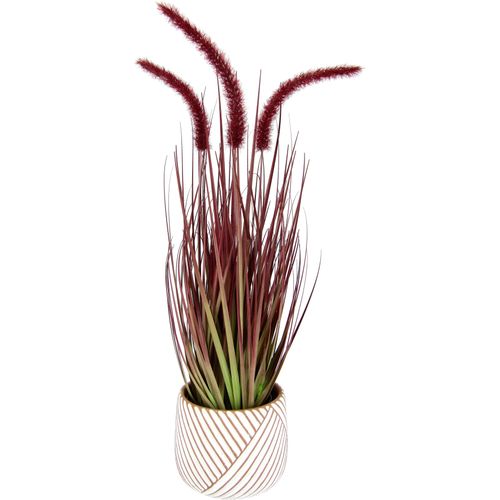 4019844798383 - Kunstpflanze IGEA Fuchsschwanzgras Kunstpflanzen Gr B H L 18 cm x 53 cm x 18 cm 2 St rot Künstliche Zimmerpflanzen Mit Übertopf Kunstgras Deko Borstenhirse Panicoideae Setaria