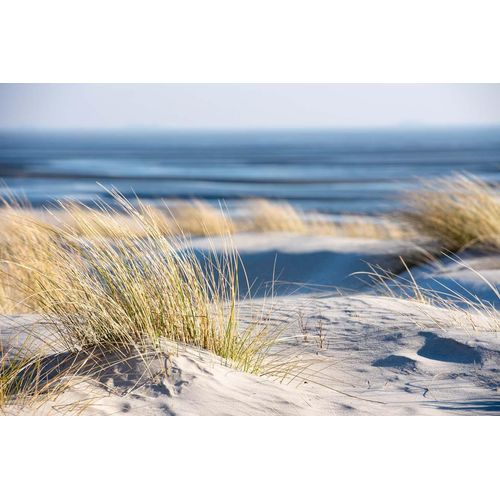 4050743091519 - Kunstdruck TIME OUT ON THE BEA