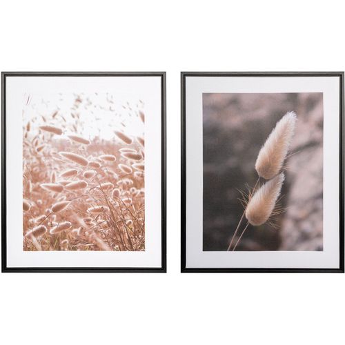4064118351733 - Bild mit Rahmen CREATIV HOME Schilf beige (farbe rahmen schwarz farbe bild(er) natur) B40cm H50cm T25cm Bilder auf Canvas-Leinwand