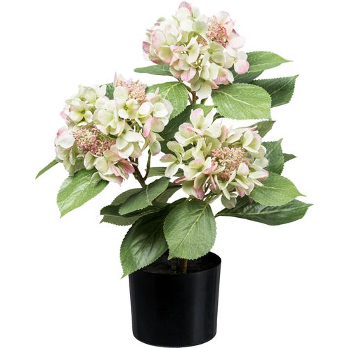 4064118181156 - Kunstpflanze CREATIV GREEN Hortensienbusch grün (grünrosa) H53cm Kunstpflanzen mit traumhaft schönen Blüten 4064118181156 - Kunstpflanze CREATIV GREEN Hortensienbusch grün (grünrosa) H53cm Kunstpflanzen mit traumhaft schönen Blüten