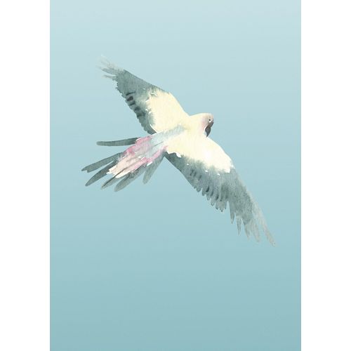 4055065178368 - Bild KOMAR Ciel bunt (farbe bild(er) bunt) B50cm H70cm Papier Holz Bilder Wandbild zur Dekoration - ohne Rahmen