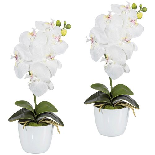4064118039501 - Kunstpflanze CREATIV GREEN Orchidee Phalaenopsis Kunstpflanzen Gr H 40 cm 2 St weiß Künstliche Zimmerpflanzen Kunstpflanzen im Keramiktopf 4064118039501 - Kunstpflanze CREATIV GREEN Orchidee Phalaenopsis Kunstpflanzen Gr H 40 cm 2 St weiß Künstliche Zimmerpflanzen Kunstpflanzen im Keramiktopf