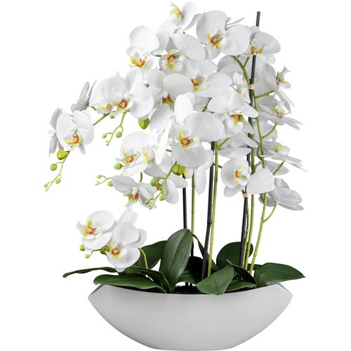 4064118181040 - Kunstorchidee Orchidee Phalaenopsis Orchidee Creativ green Höhe 55 cm mit real-touch-Blüten weiß